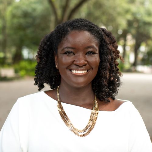 portfolio item image